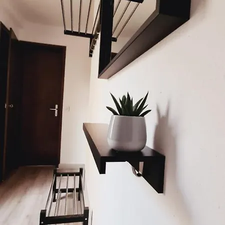 Casa Rosina - Una Caramella, Nel Nucleo, Ai Piedi Della Verzasca- Gordola Exterior photo